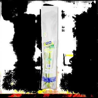 กระเป๋าพลาสติกกระจกกระจกกระจกกระจกกระจกกระจกกระจกกระจกกระจกกระจก