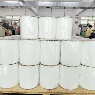 Customized Thickness Pre Opened Poly Bags with Color Printing and Heat Seal for Auto Bagger Systems