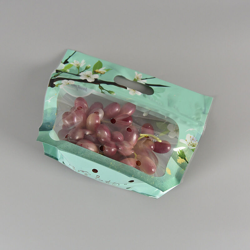 กระเป๋าบรรจุผลิตภัณฑ์สดพลาสติกประเภทอาหาร